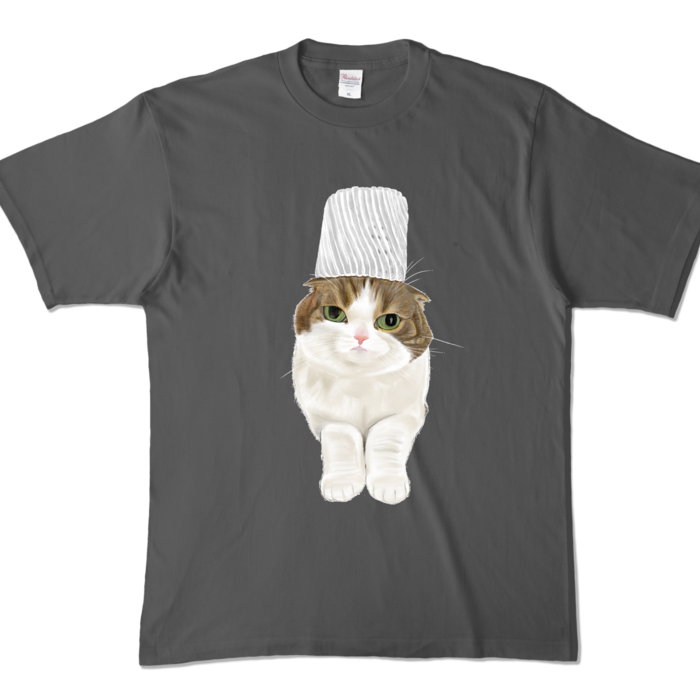 カラーTシャツ - XL - チャコール (濃色)