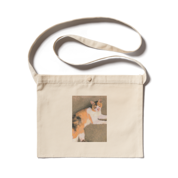 サコッシュ - 300 x 230 (mm)