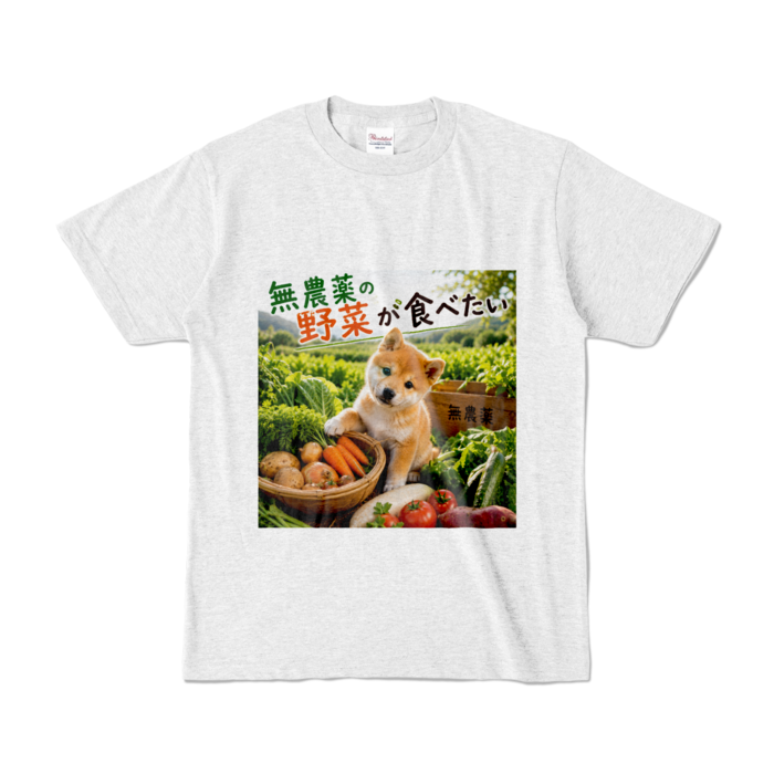 カラーTシャツ - S - アッシュ （淡色）