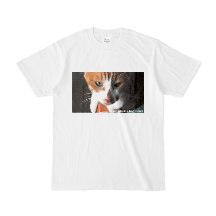 Tシャツ - S - 白