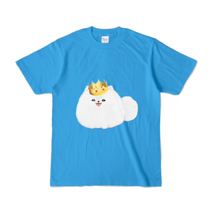 カラーTシャツ - S - ターコイズ (濃色)