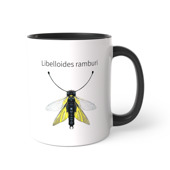 ツートンカラーマグカップ - 直径 8.2cm / 高さ 9.5cm(1)