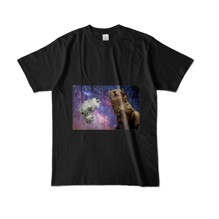 カラーTシャツ - L - ブラック (濃色)