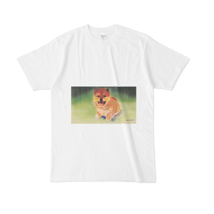 Tシャツ - L - 正面