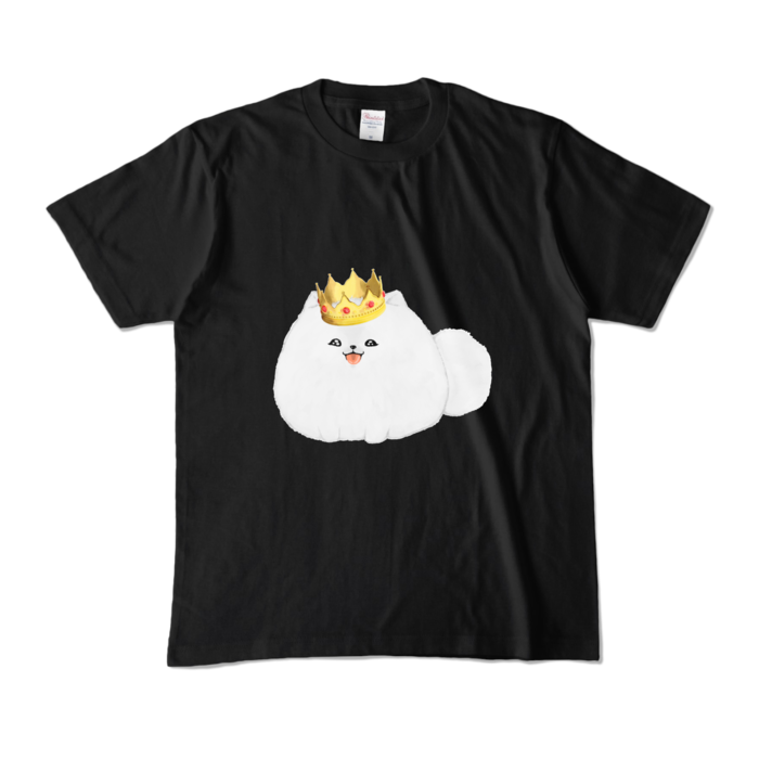 カラーTシャツ - M - ブラック (濃色)