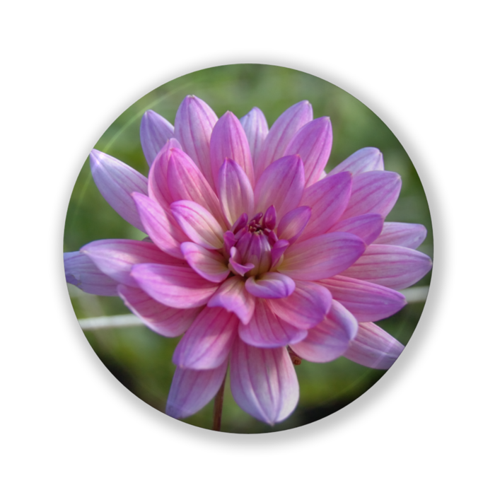 缶バッジ（バリュー） - 32mm