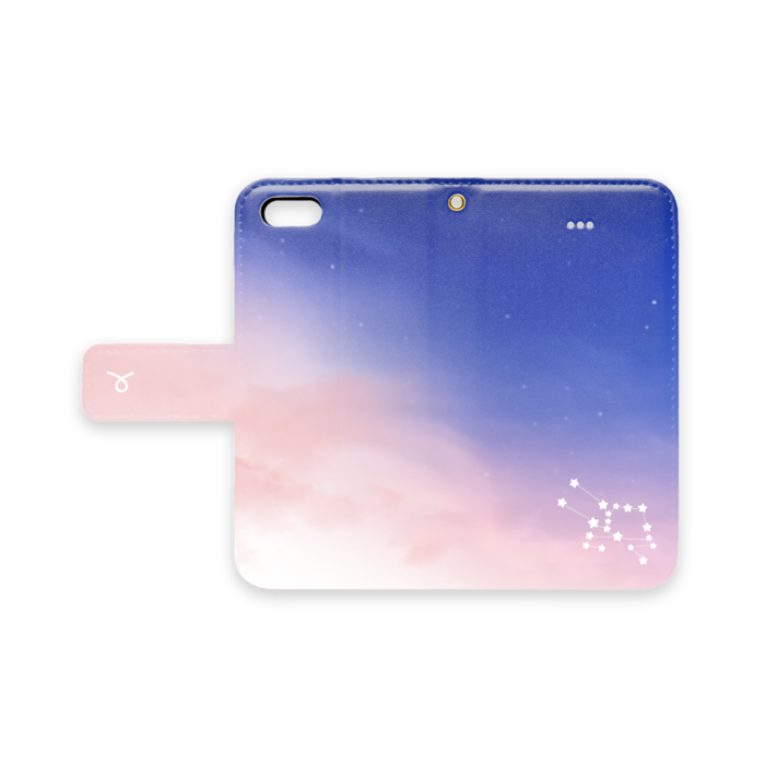 iPhone 5 / 5s / SE