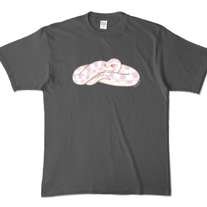 カラーTシャツ - XL - チャコール (濃色)