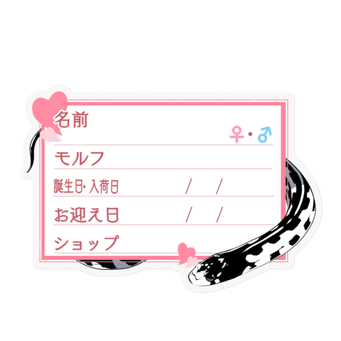 ステッカー - 100 x 100 (mm)(4)