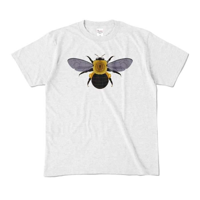 カラーTシャツ - M - アッシュ (淡色)