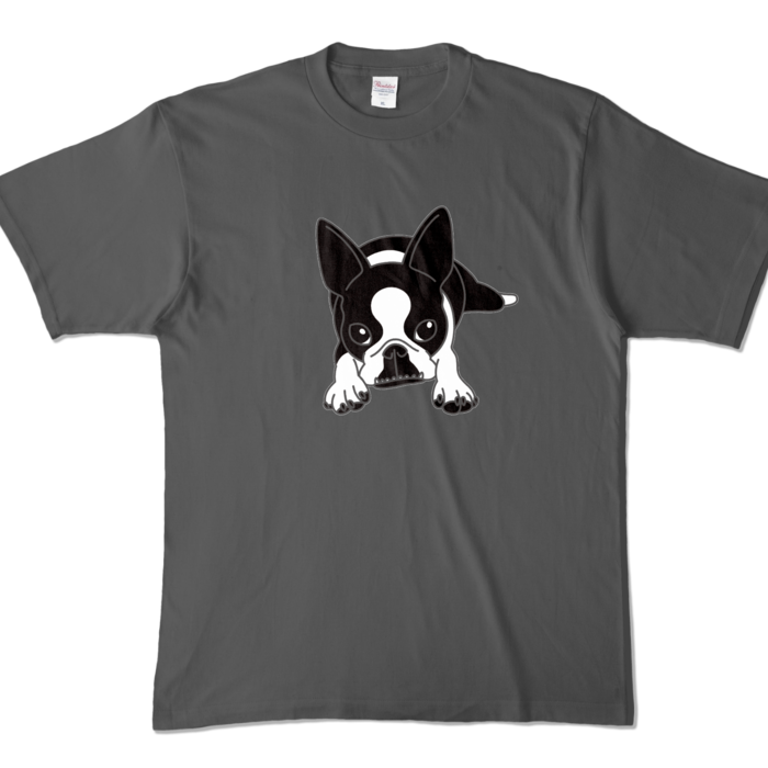 カラーTシャツ - XL - チャコール (濃色)
