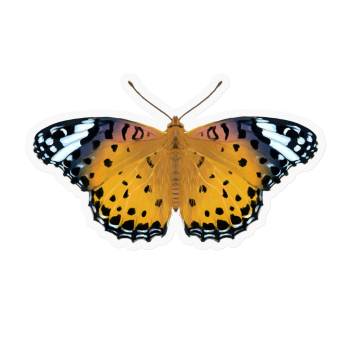 ステッカー - 100 x 100 (mm)(1)