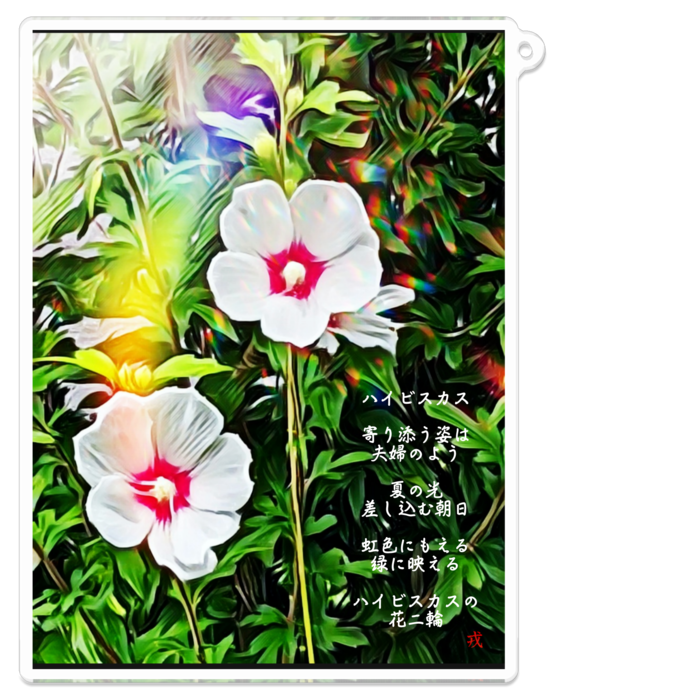a-195 路傍の花 ハイビスカス Roadside flower hibiscus アクリルキーホルダー - 100 x 100 (mm)