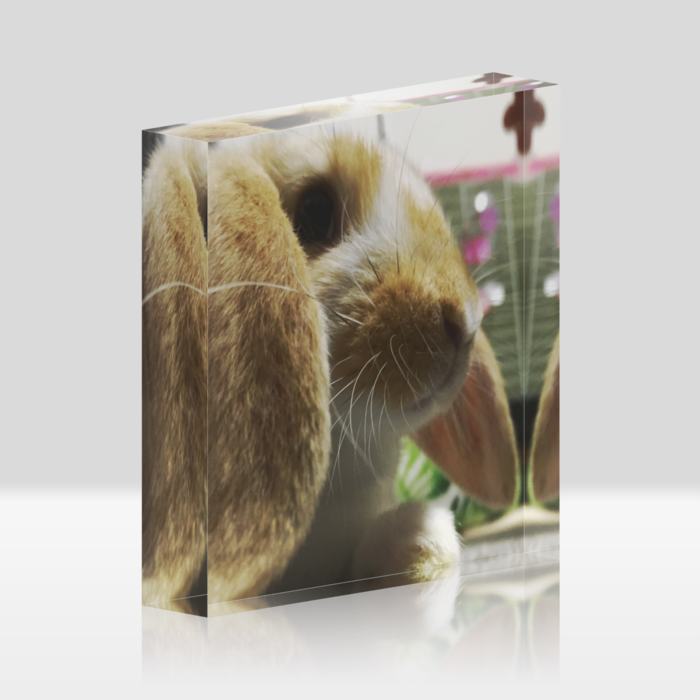 アクリルブロック - 100x100mm