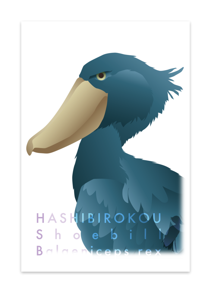 ポストカード(10セット) - マットコート220kg