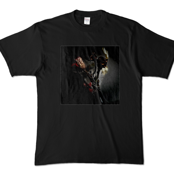 カラーTシャツ - XL - ブラック (濃色)