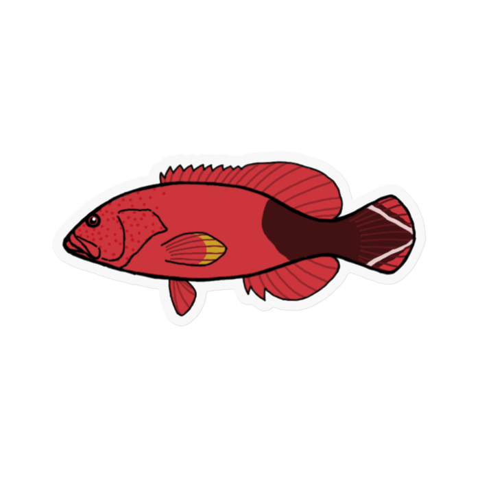 ステッカー - 100 x 100 (mm)