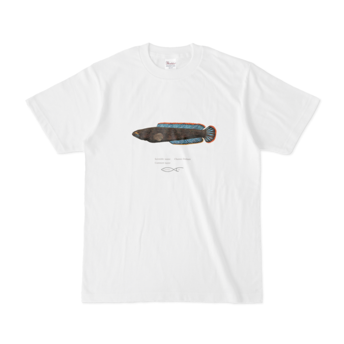 Tシャツ - S - 白