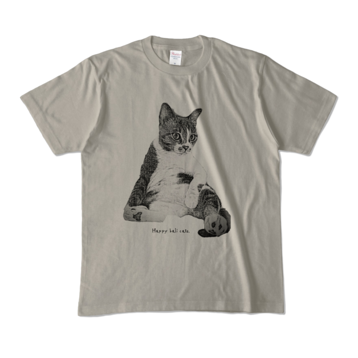 カラーTシャツ - M - シルバーグレー (淡色)