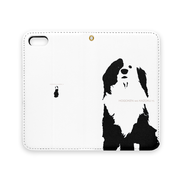 iPhone 5 / 5s / SE