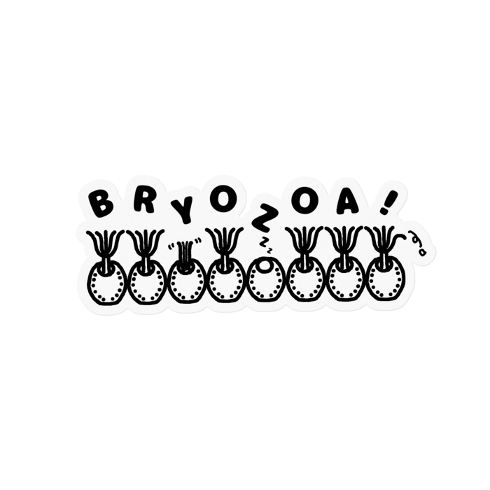 ステッカー - 100 x 100 (mm)
