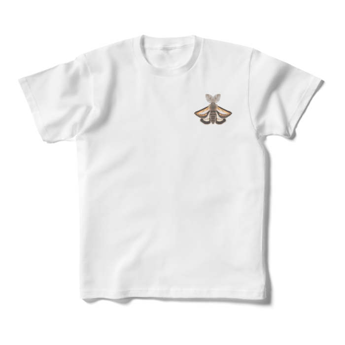 キッズTシャツ - 160cm (XS) - 正面