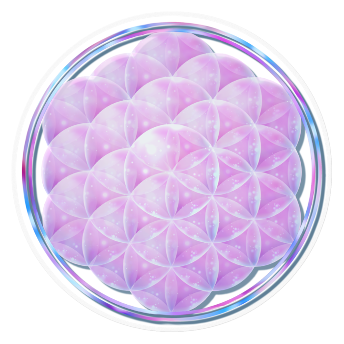 ピンク　ー　透明／160 x 160 (mm)