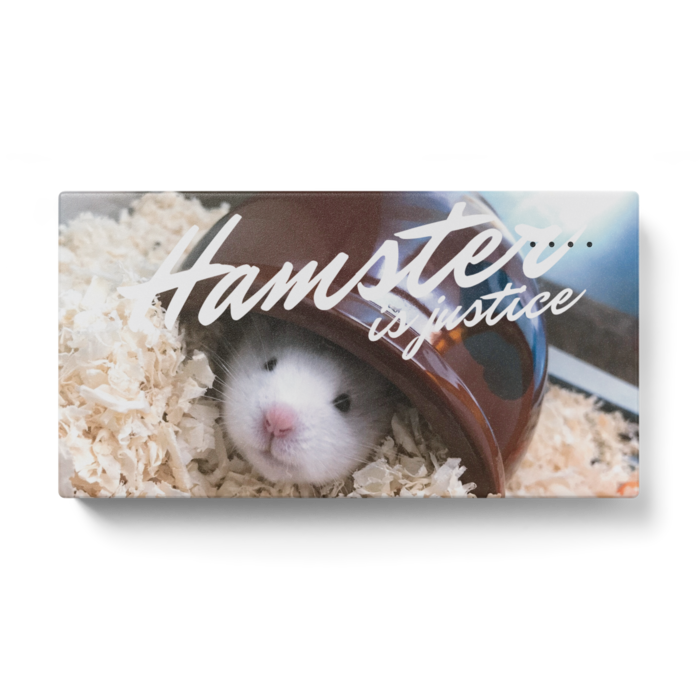 モバイルバッテリー - 123 x 65 (mm)