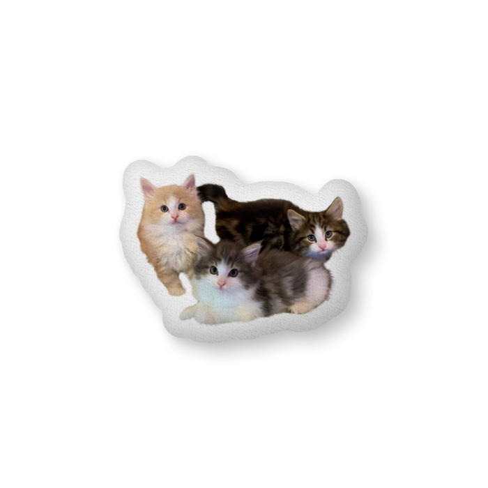 ふかふかクッション - 中(36 × 56 cm) - 両面