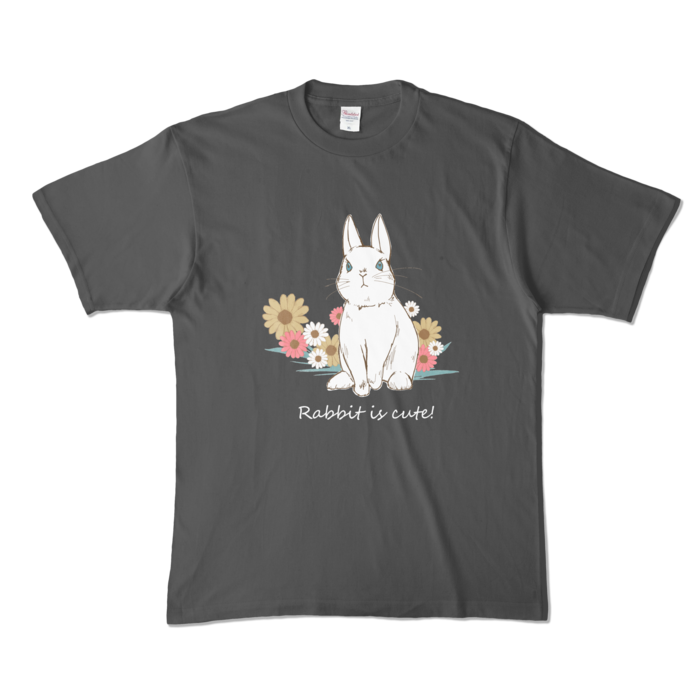 カラーTシャツ - XL - チャコール (濃色)