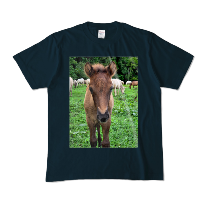 カラーTシャツ - M - ネイビー (濃色)