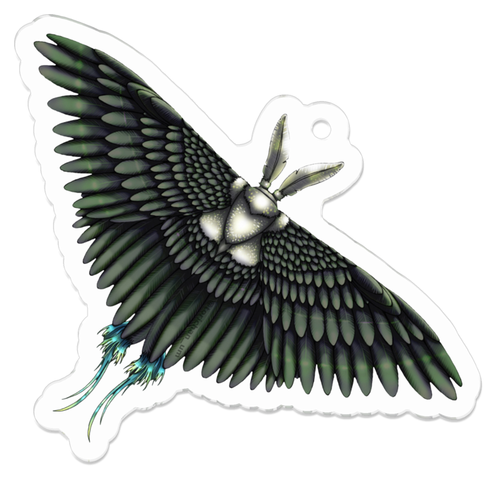 黒　ー　50 x 50㍉／コーティングあり