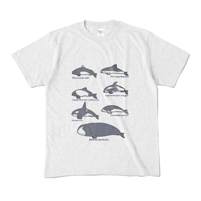 カラーTシャツ - M - アッシュ (淡色)