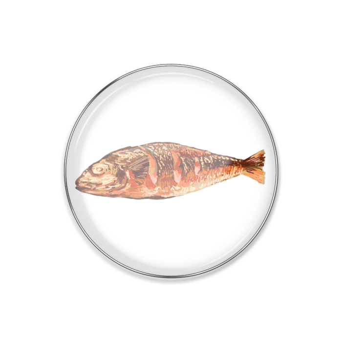 焼魚ピンバッジ - 丸形25mm(1)