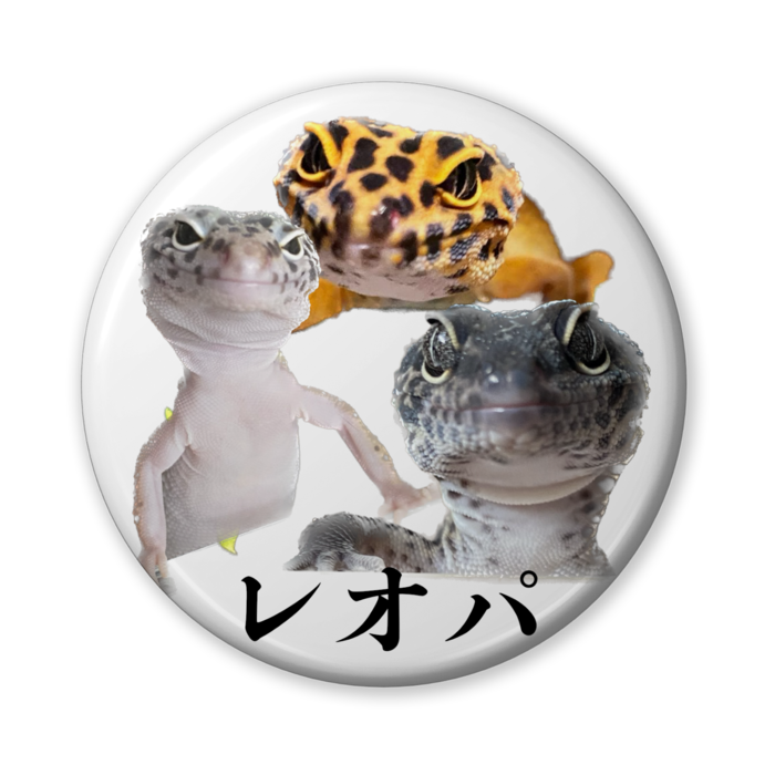 缶バッジ（バリュー） - 56mm