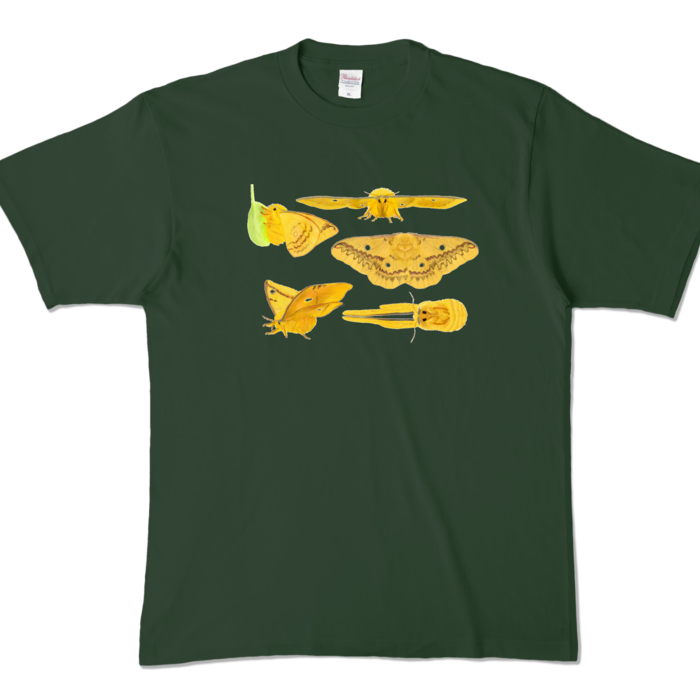 カラーTシャツ - XL - フォレスト (濃色)