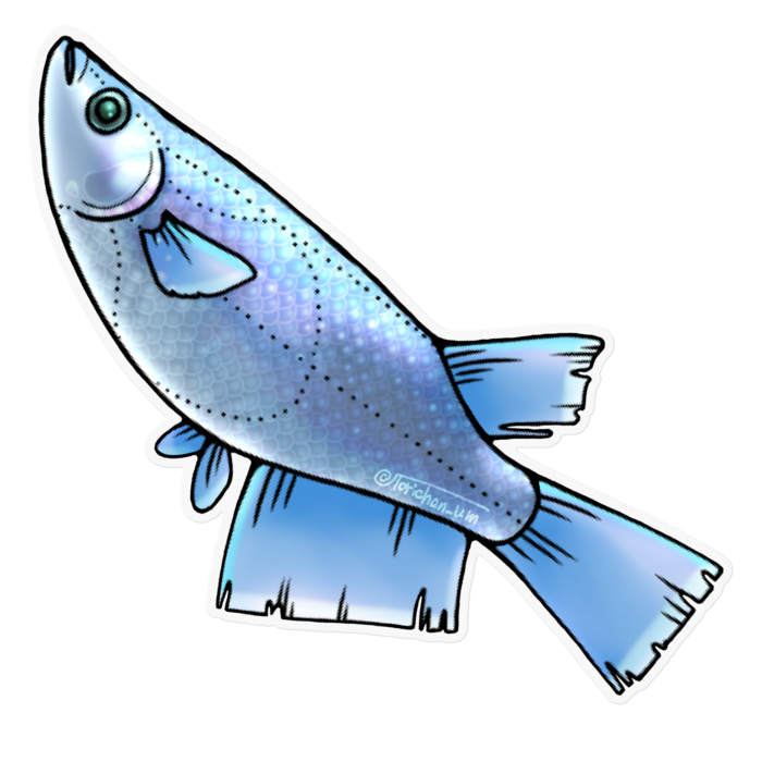 幹之　ー　クリア／160 x 160㍉