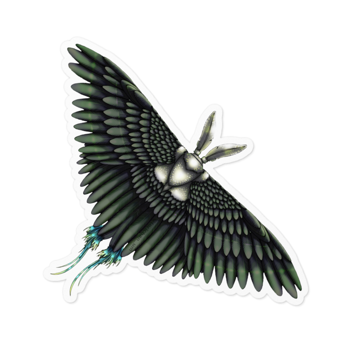 黒　ー　ホワイト／100 x 100㍉