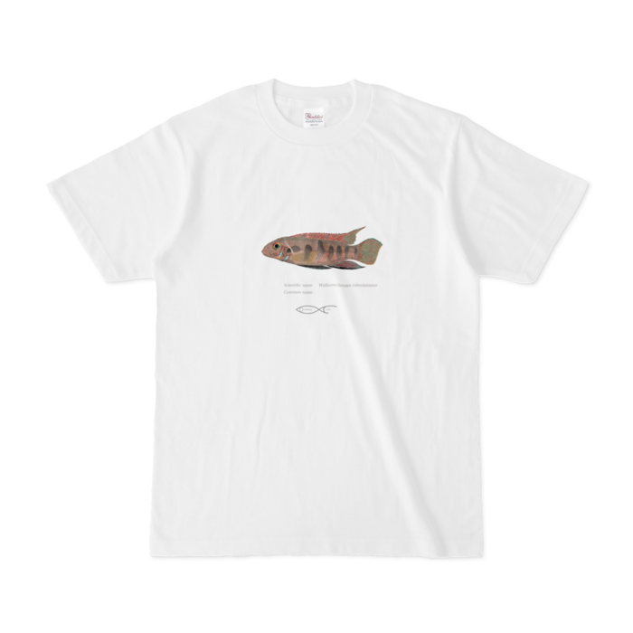 Tシャツ - S - 白