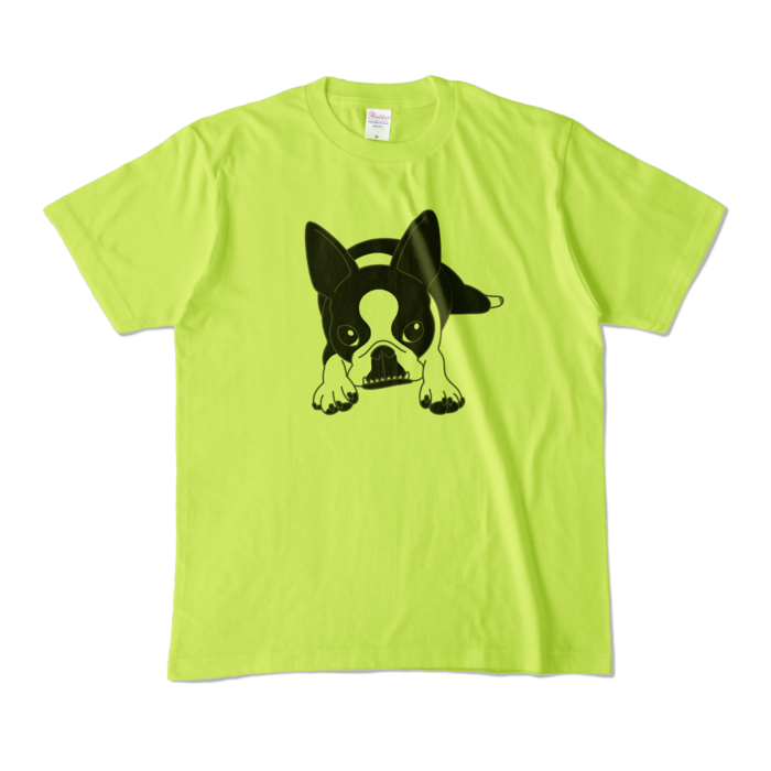 カラーTシャツ - M - ライトグリーン (淡色)