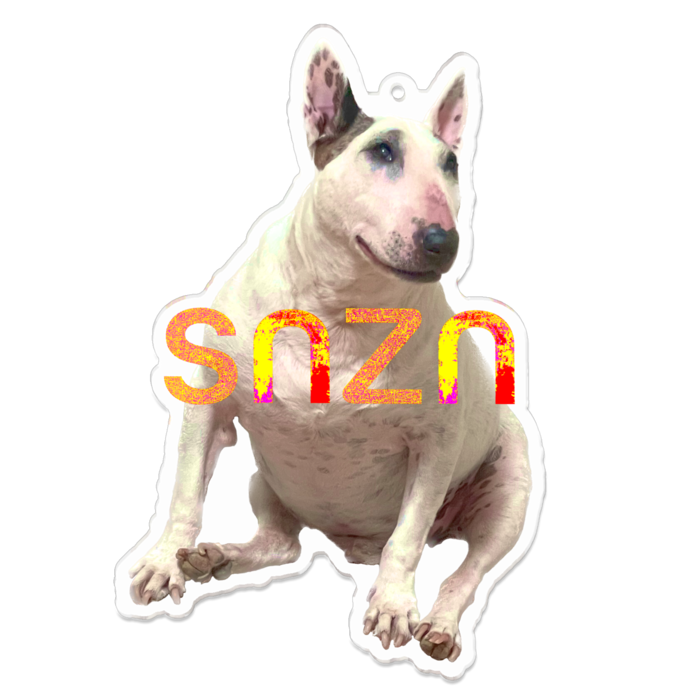 アクリルキーホルダー（コーティング） - 100 x 100 (mm)