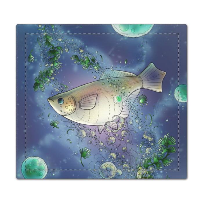めだか宇宙 ー 105 x 95㍉