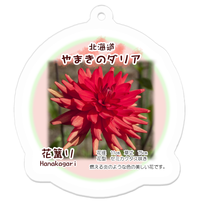 アクリルキーホルダー - 50 x 50 (mm)