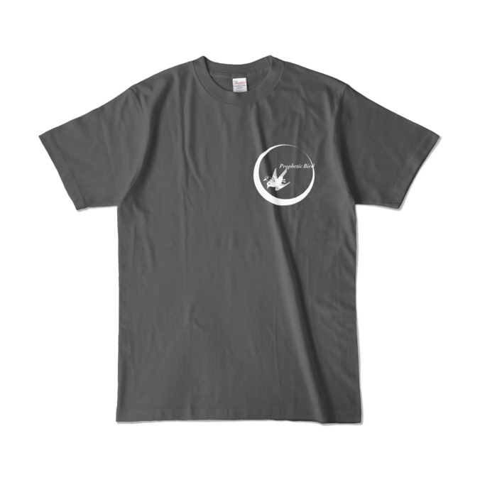 カラーTシャツ - L - チャコール (濃色)