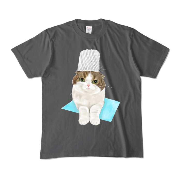 カラーTシャツ - M - チャコール (濃色)