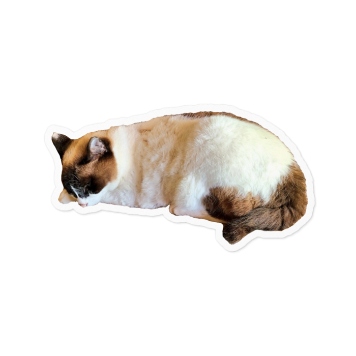 ステッカー - 100 x 100 (mm)