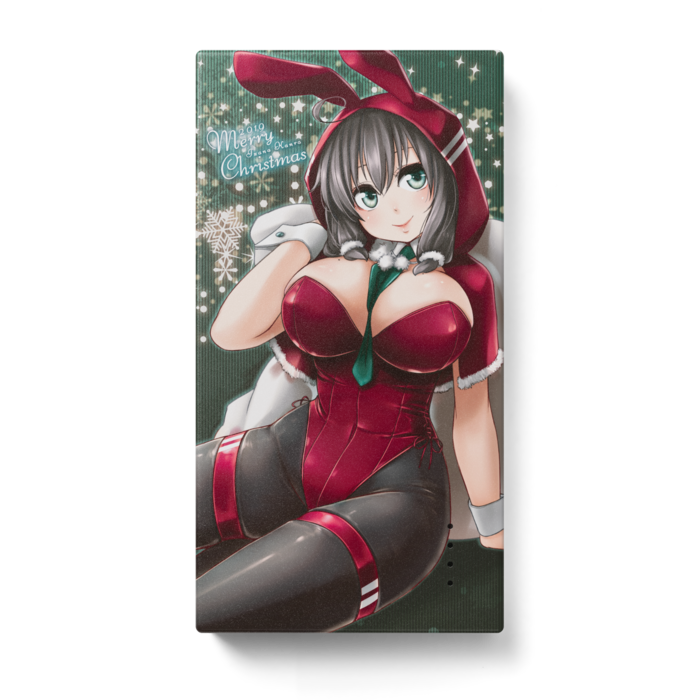 モバイルバッテリー - 123 x 65 (mm)