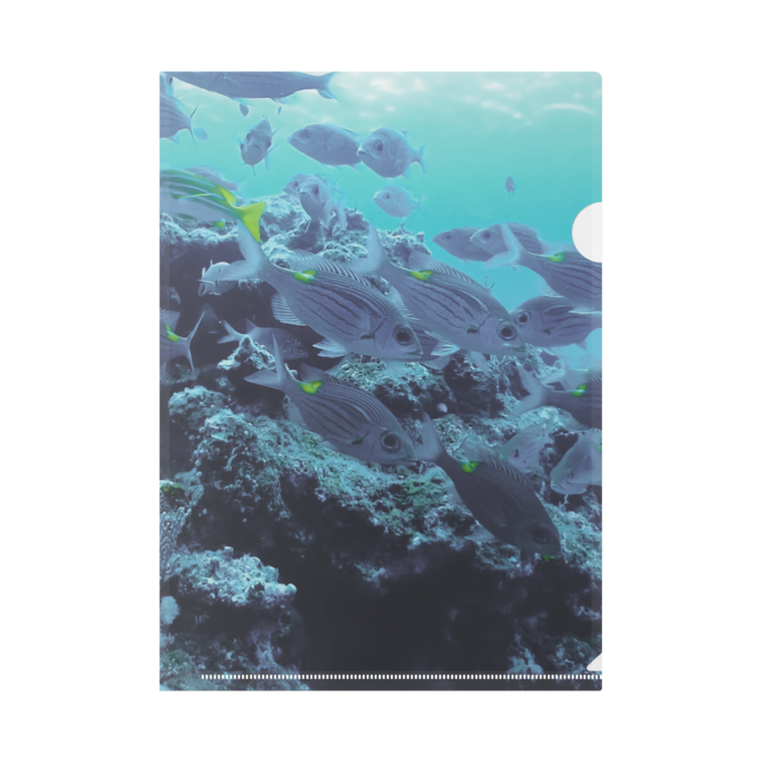 A4