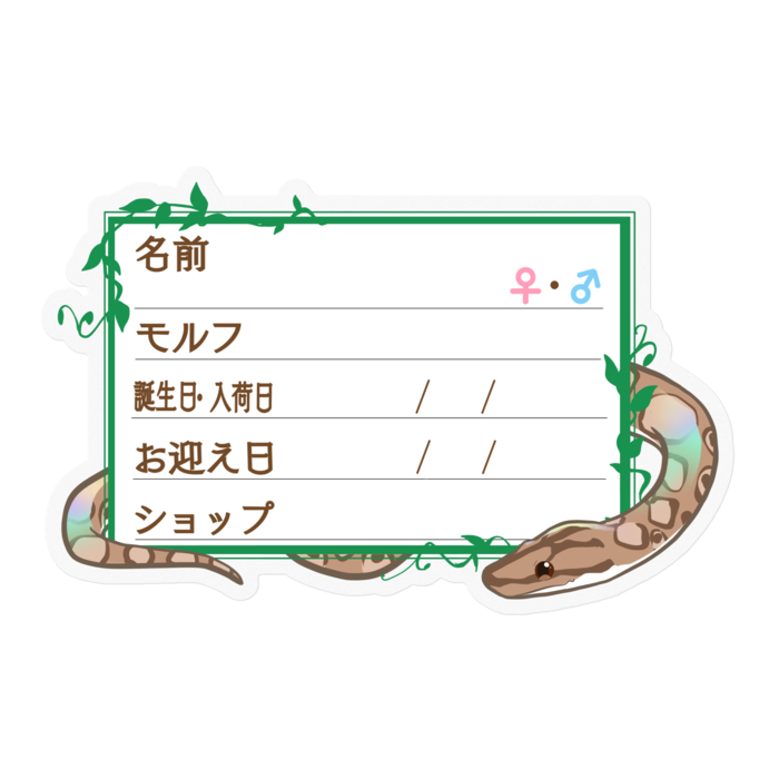 【🐍お名前ステッカー】コロニジ(ノーマル) ‐ツタ