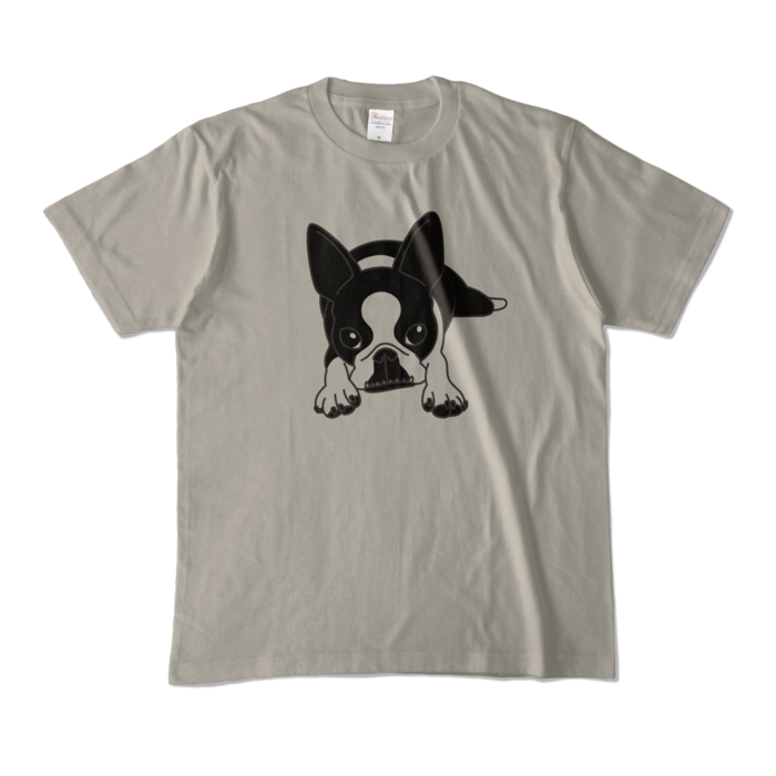 カラーTシャツ - M - シルバーグレー (淡色)